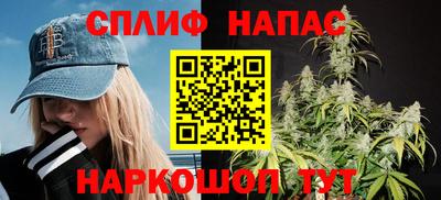 гашик Бузулук
