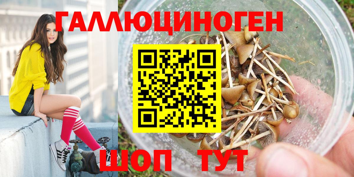 Псилоцибиновые грибы ЛСД Костомукша