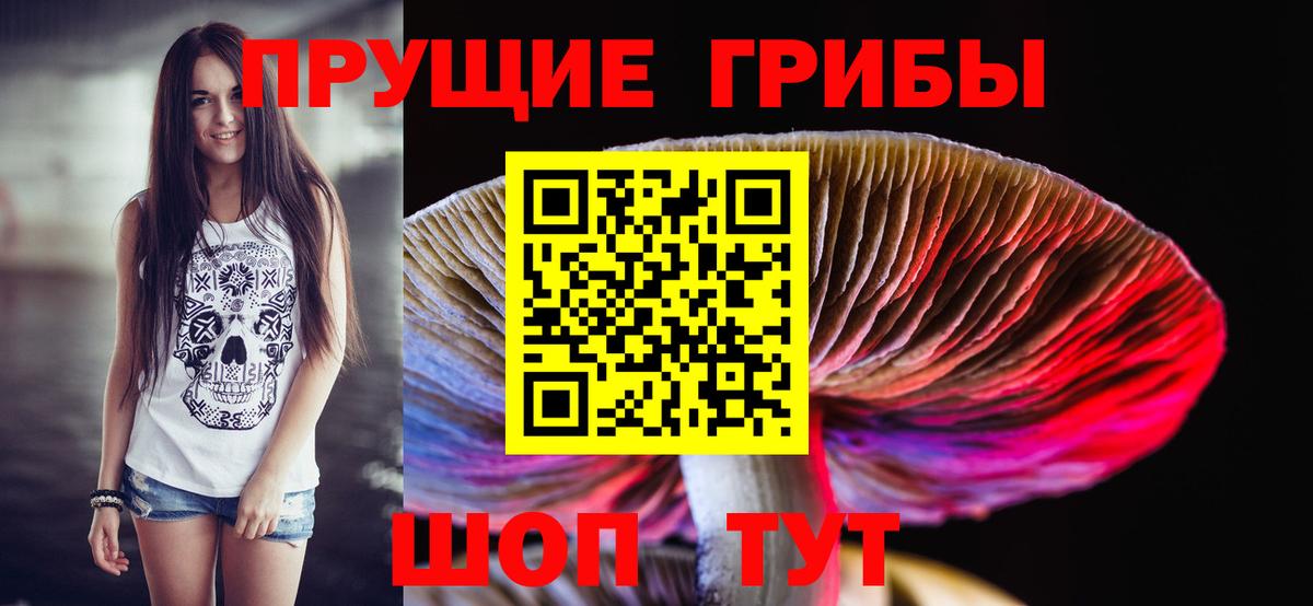 Костомукша  Галлюциногенные грибы мухоморы  Вход с VPN 
